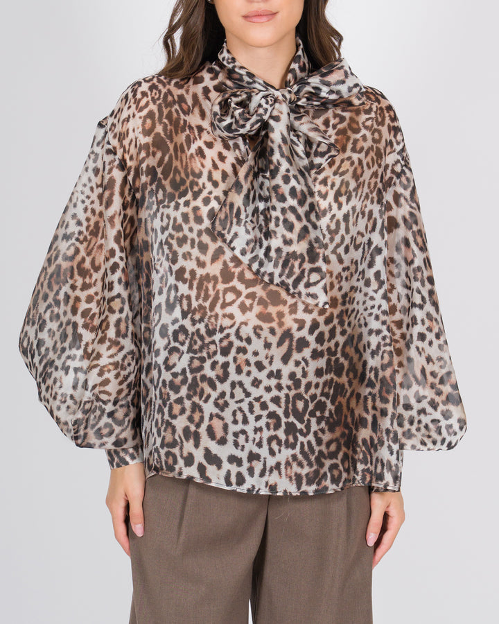 ACCESS 2197268MACULATO