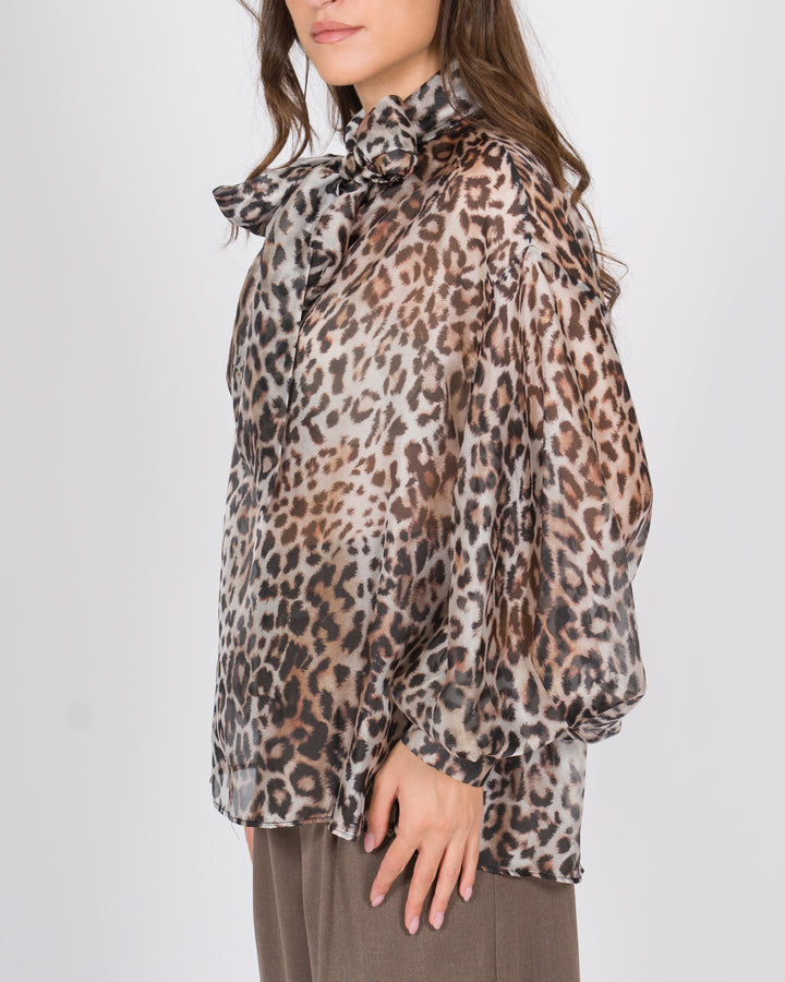 ACCESS 2197268MACULATO