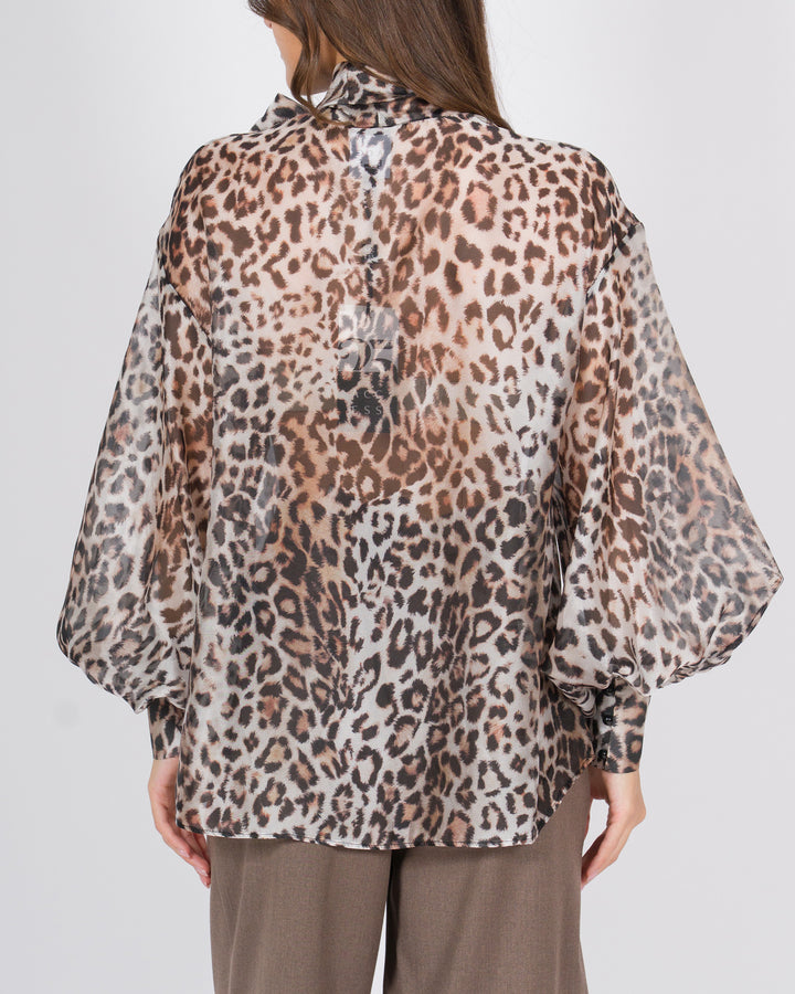 ACCESS 2197268MACULATO