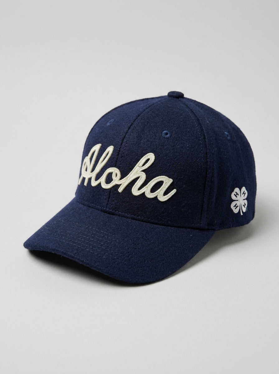 Cappellino da Baseball Chesapeake&