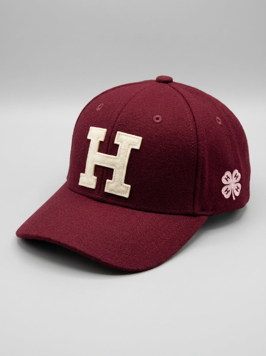 Cappellino da Baseball Chesapeake's Bordeaux 