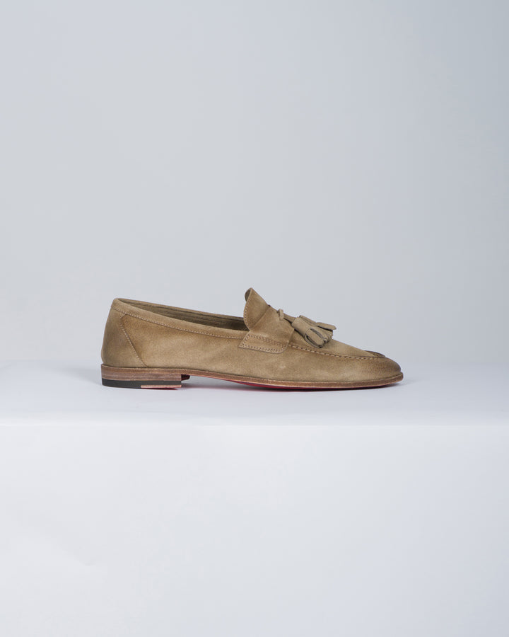 CORVARI 1856TORTORA